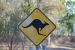DSC_0518 (Large)1.jpg
